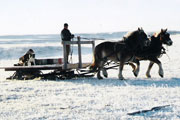 Winter Chores - Beierbach Ranch - click to enlarge